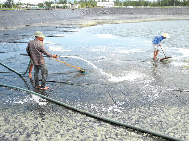 Muối xử lý nước trong nuôi trồng thủy sản