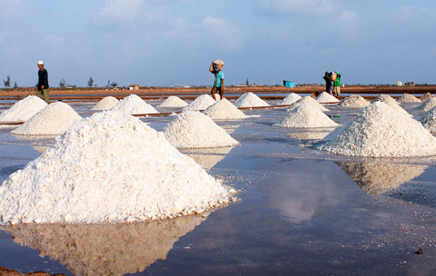 muối trong nuôi trồng thủy sản
