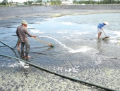 Sử dụng muối xử lý nước trong nuôi trồng thủy sản: Lợi ích và ứng dụng thực tế